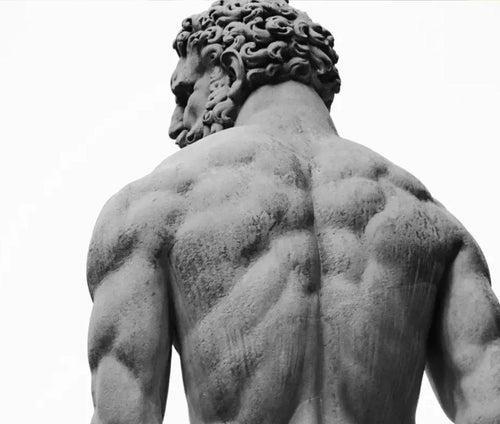 Embracing Masculinity: The Strength and Value of Manhood - Red Pilled Supplements